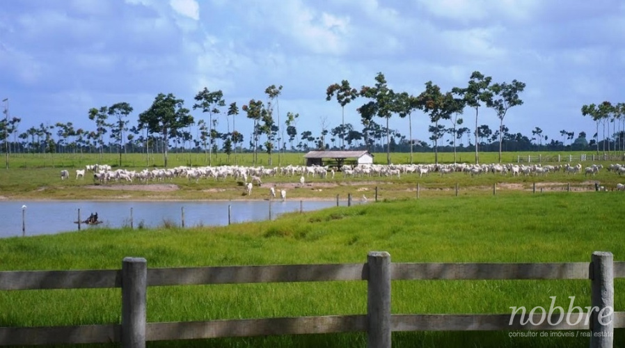 Fazenda para vender em Redenção - Pará.